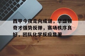 爱游戏-包含西甲今夜走向成谜，华盛顿奇才强势反弹，赛场秩序良好，团队化学反应显著的词条